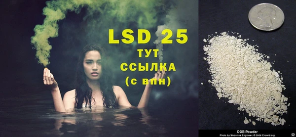 a pvp Аркадак