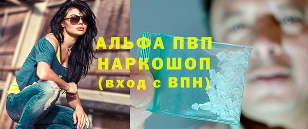 a pvp Аркадак