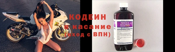 молекула духа Арсеньев