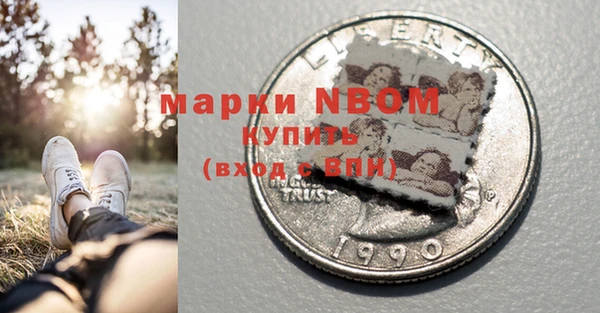 молекула духа Арсеньев