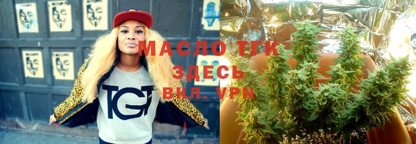 молекула духа Арсеньев