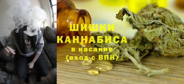 молекула духа Арсеньев