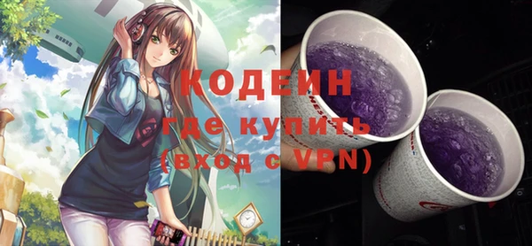 молекула духа Арсеньев