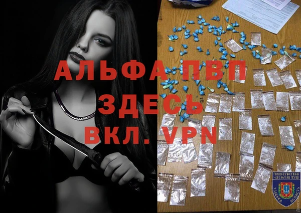 a pvp Аркадак