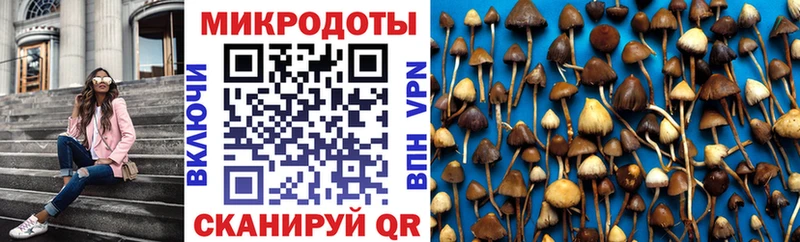 Псилоцибиновые грибы мухоморы  Усолье 